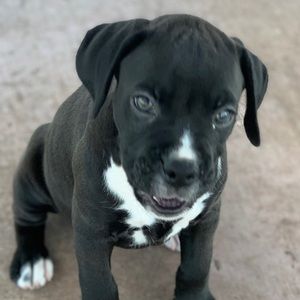 Meet your Posher, Stephen